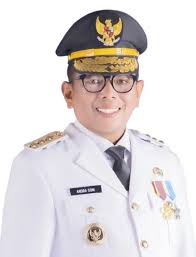 Profil Gubernur Andra Soni