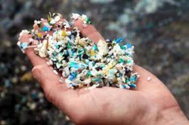 Menurut Studi: Indonesia Paling Banyak Konsumsi Mikroplastik di Dunia