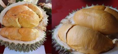 Lebih jauh Mengenal Durian Unggulan Malaysia Duri Hitam (Ochee)