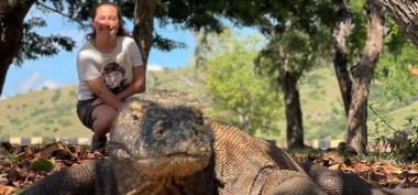 Komodo Island Tour From Lombok
