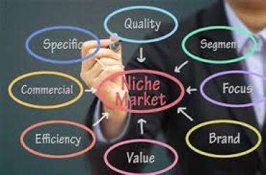 Niche Market: Strategi Memilih Pasar Spesifik Rendah Persaingan